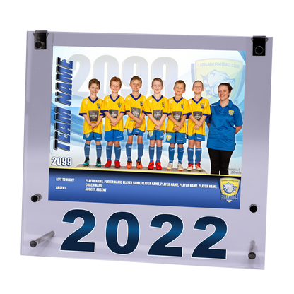 Medium Acrylic Framed Team Photo
