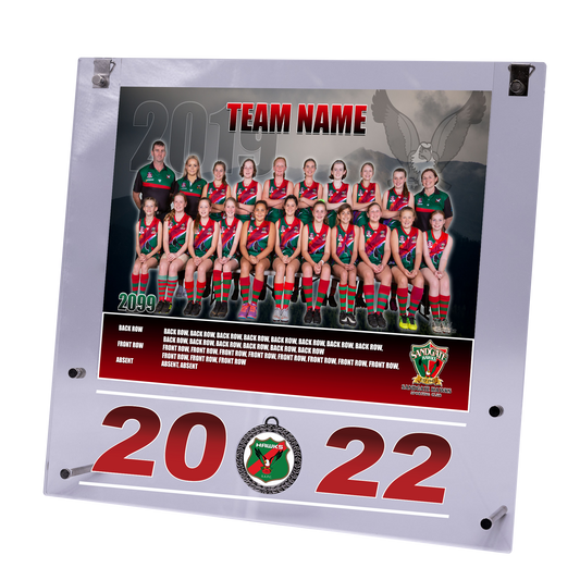 Large Acrylic Framed Team Photo with Medal