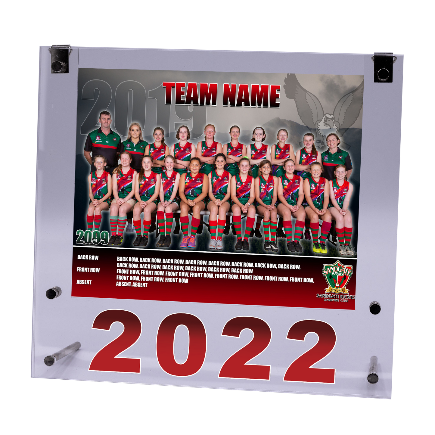 Medium Acrylic Framed Team Photo