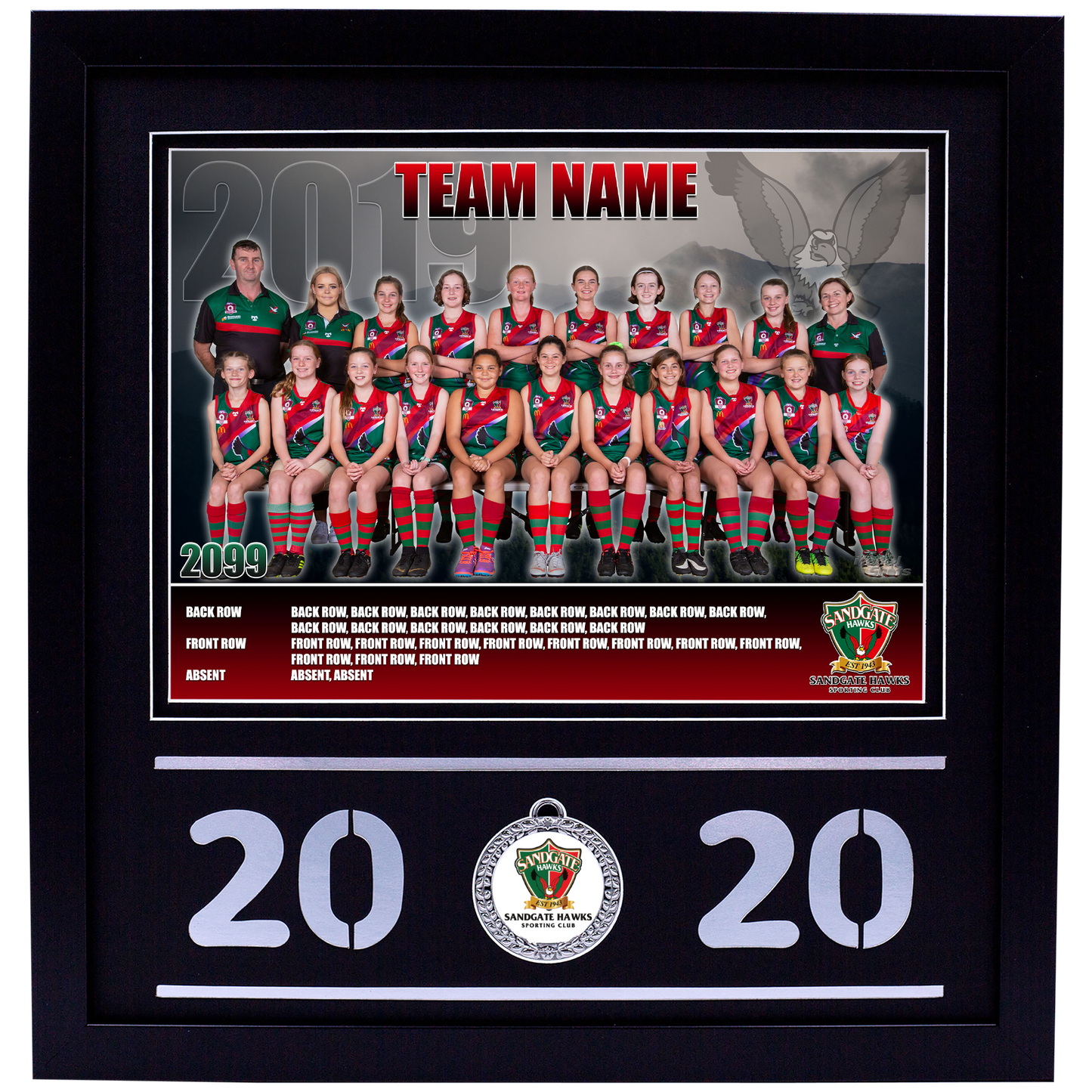 Framed Team Photo with Medal Upgrade